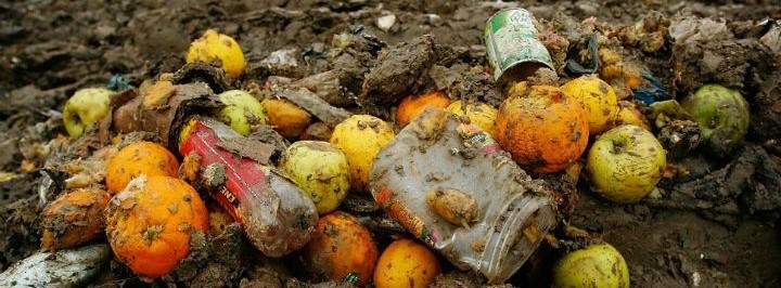 Apples and oranges in a landfill among other trash items