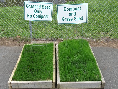 garden on compost.jpg