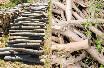 Two pictures show larger diameter tree limbs and shrub branches