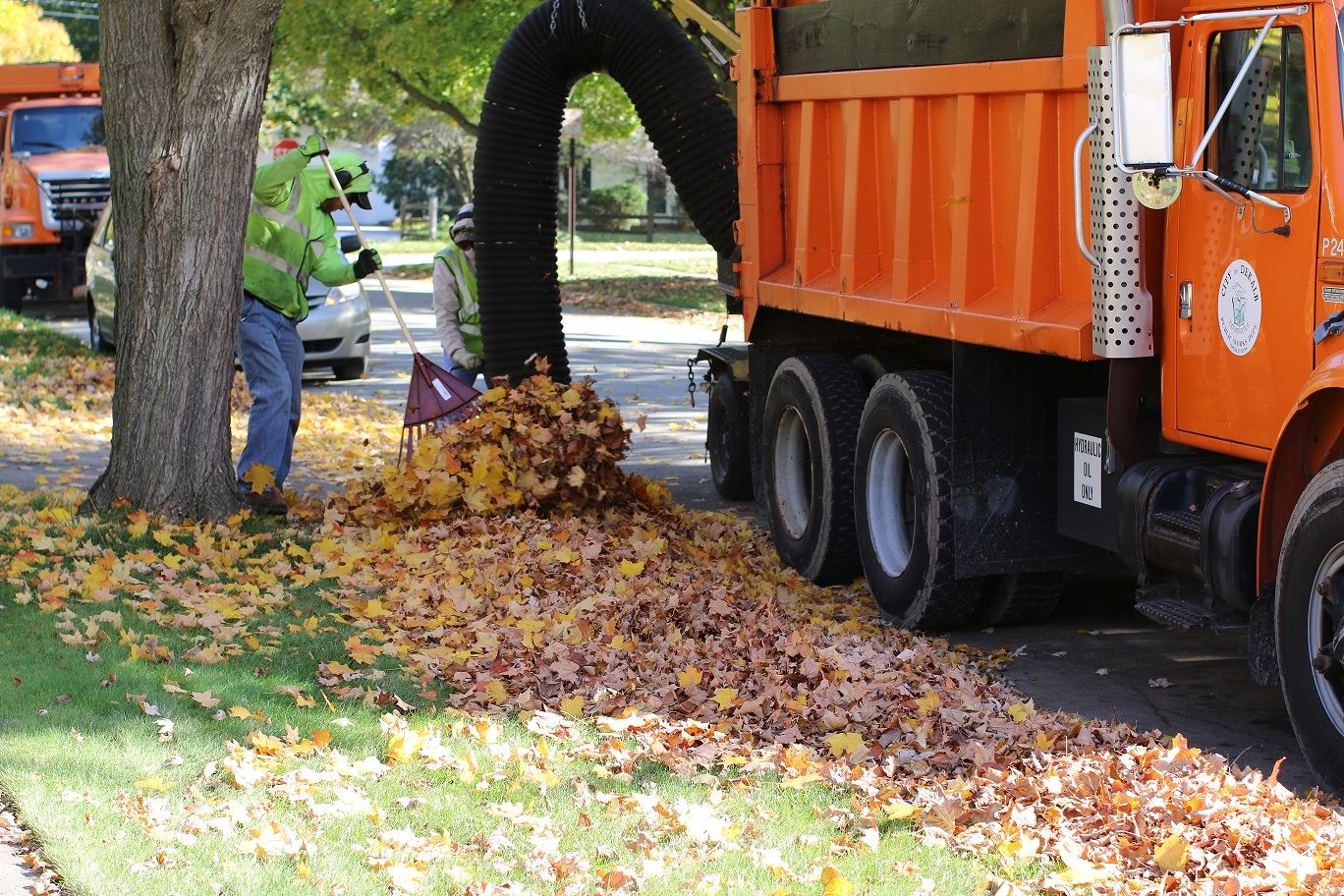 leaftruck.jpg