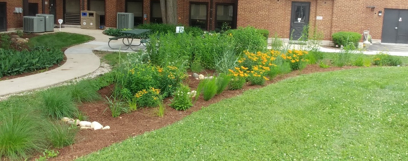 Native Garden Image